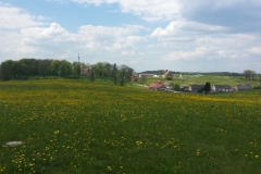 20160508_130019